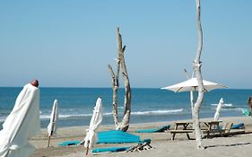 Le Floride - Bord De Plage